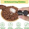 Legigo 4 LBS Organic Expanded Clay Pebbles, 4mm -16mm Light Expanded Clay Aggregate, Natural Clay Pebbles for Hydroponic & Aquaponics Growing, Orchid Potting Mix, Dutch Buckets, Drainage - Image 2